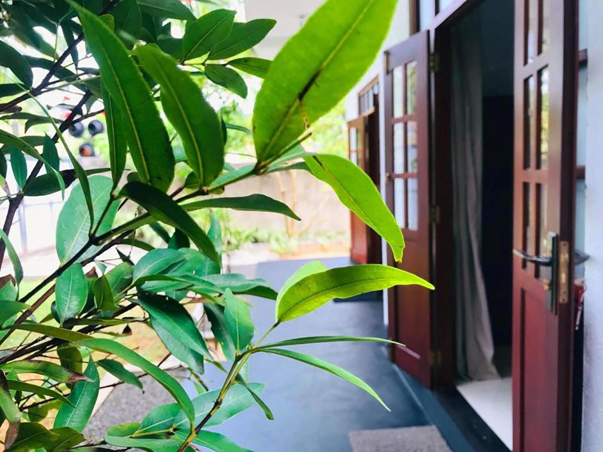 Villa Seagull Hikkaduwa Zewnętrze zdjęcie